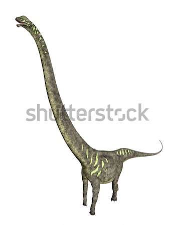 Dinosaur Mamenchisaurus Stock photo © MIRO3D