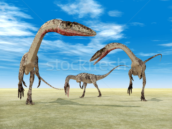 Dinosaur Coelophysis Stock photo © MIRO3D