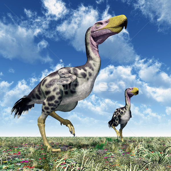 Terror pássaro computador gerado ilustração 3d natureza Foto stock © MIRO3D