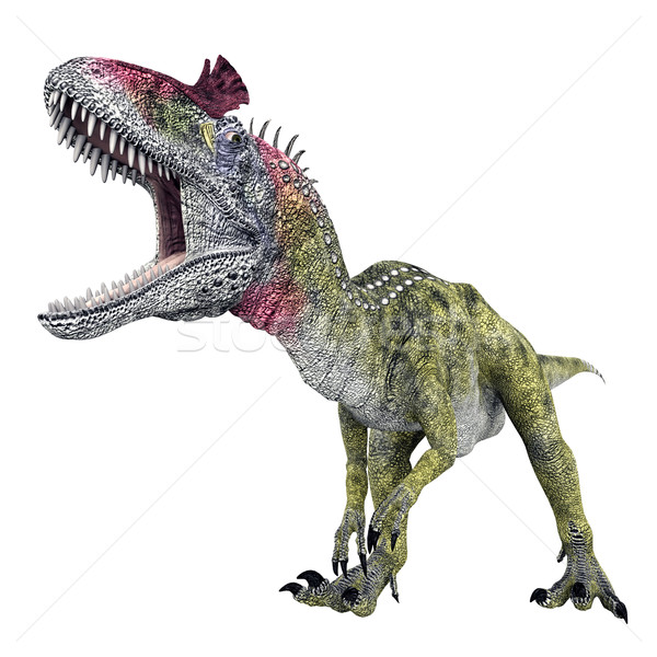 Dinosaur Cryolophosaurus Stock photo © MIRO3D