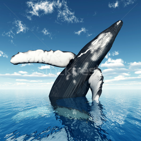 Jumping Humpback Whale Stock photo © MIRO3D