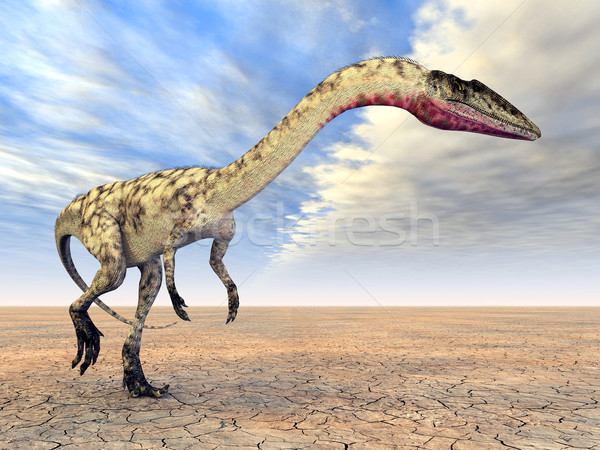 Dinosaur Coelophysis Stock photo © MIRO3D