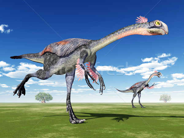 Dinosaur Gigantoraptor Stock photo © MIRO3D