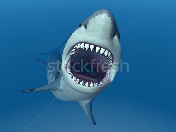 Сток-фото: белый · акула · компьютер · генерируется · 3d · иллюстрации
