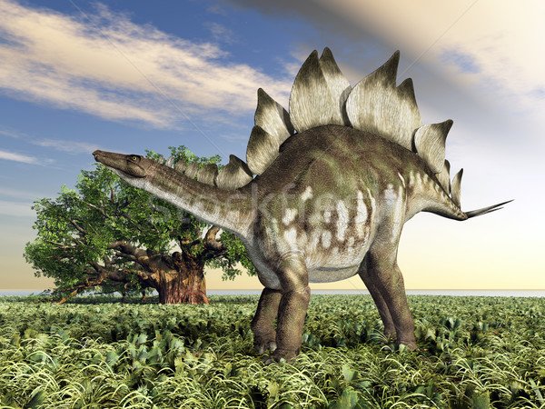 Dinosaur Stegosaurus Stock photo © MIRO3D