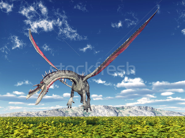 Stock photo: Flying Dragon