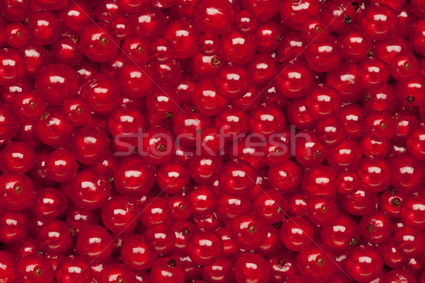 Czerwona porzeczka raw food czerwony tekstury charakter owoców Zdjęcia stock © MiroNovak
