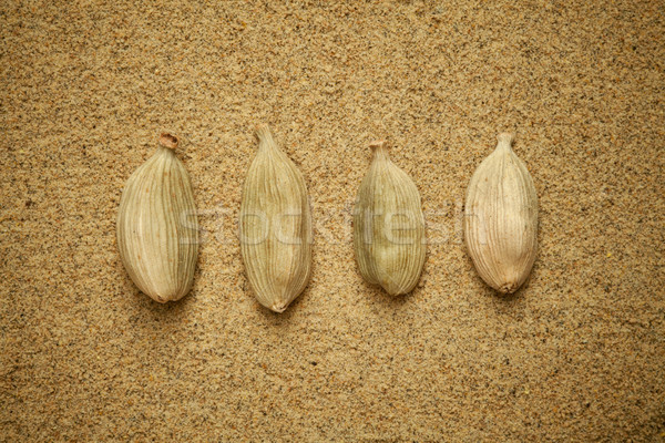 cardamon beans Stock photo © MiroNovak
