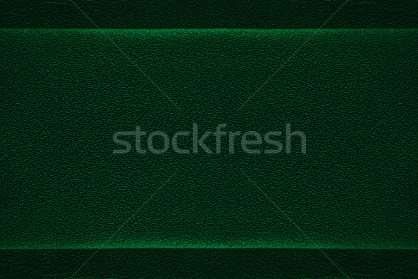 green leather background Stock photo © MiroNovak