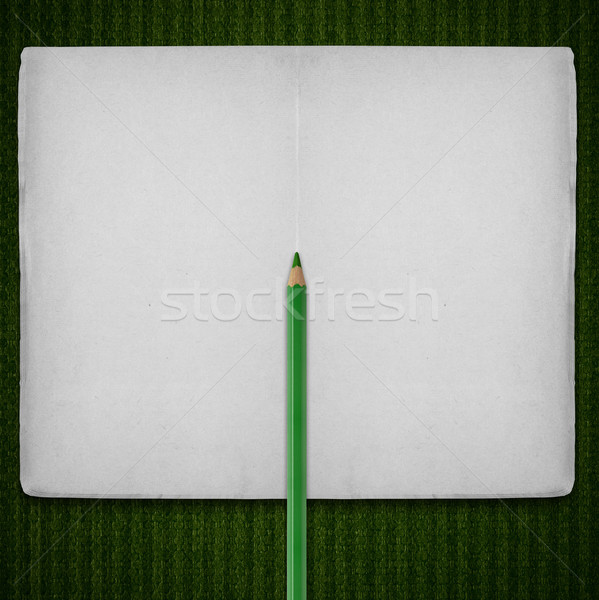 Abrir caderno verde crayon tira padrão Foto stock © MiroNovak