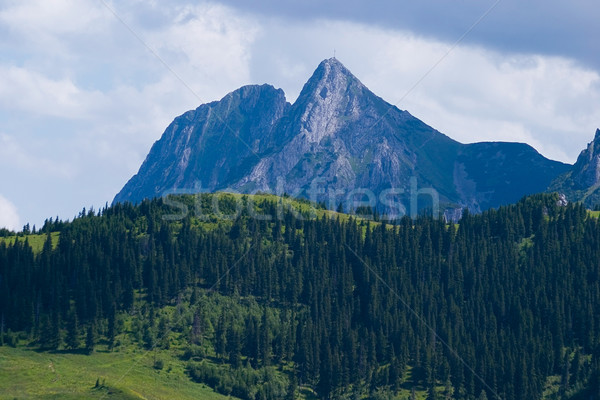 The Giewont Peak Stock photo © MiroNovak