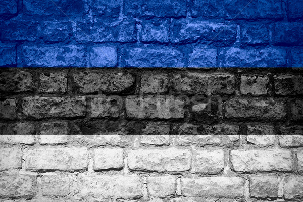 Flagge Estland Banner Ziegel Textur Stock foto © MiroNovak