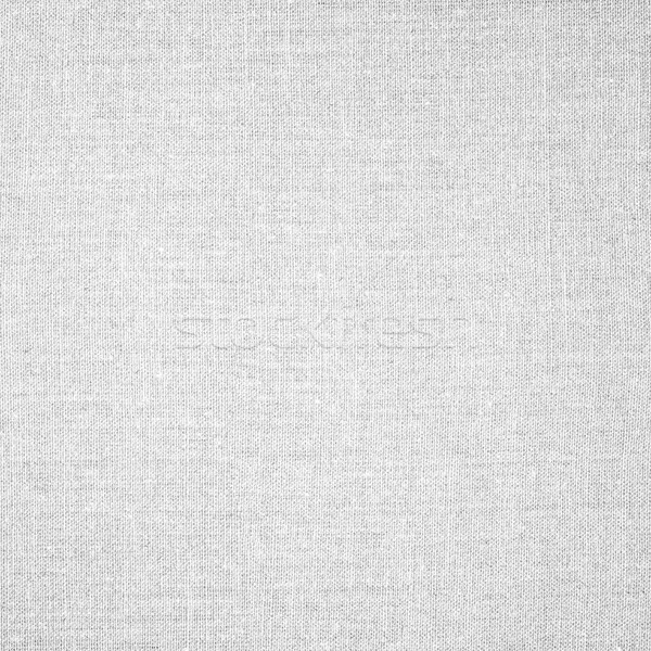 Fehér absztrakt vászon hálózat minta textil Stock fotó © MiroNovak