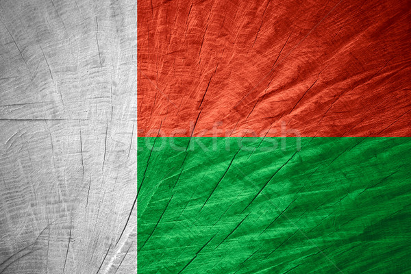 Vlag Madagascar banner houten textuur Stockfoto © MiroNovak