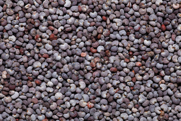 poppy seed background Stock photo © MiroNovak
