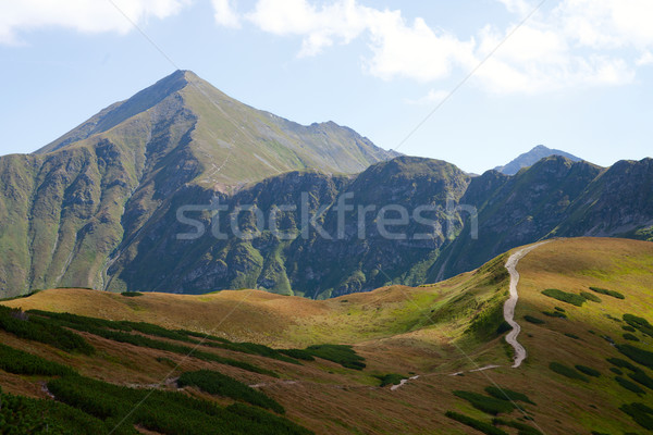 Western Tatra Mountains in Poland Stock photo © MiroNovak