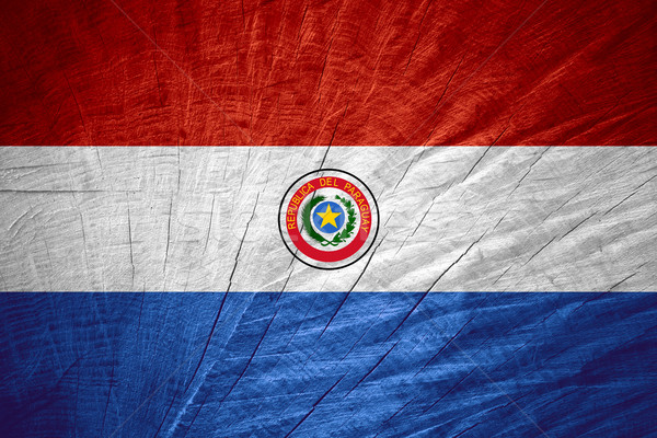 Zászló Paraguay szalag fából készült textúra Stock fotó © MiroNovak