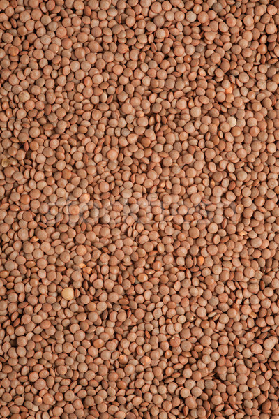 Soczewica nasion tekstury brązowy ziarna żywności Zdjęcia stock © MiroNovak