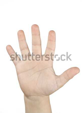 Gesztikulál kezek kéz test pálma személy Stock fotó © mirusiek