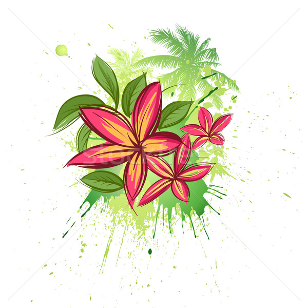 Plumeria - Tropical flowers Stock photo © Misha