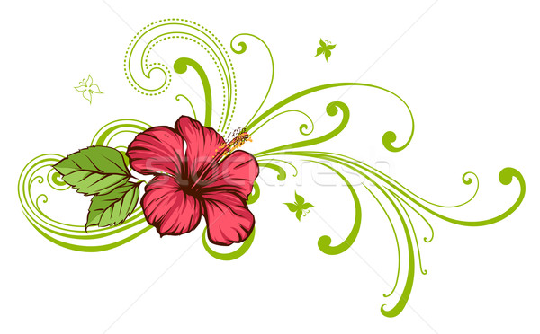 Hibiscus fleur tropicale fleur vert rouge [[stock_photo]] © Misha