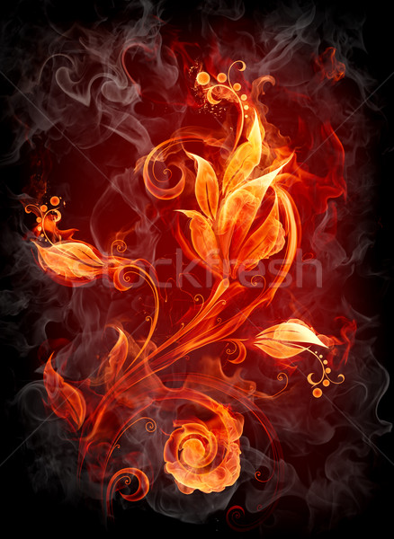 Flammenden Blume Feuer abstrakten Schönheit Rauch Stock foto © Misha