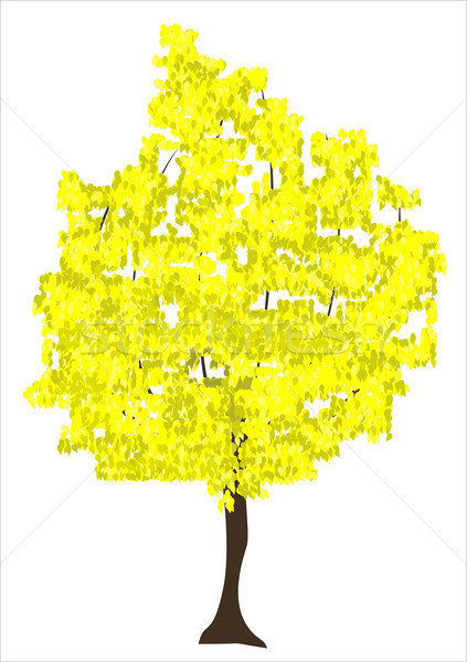 Ağaç manzara yaprak bahçe boyama siyah Stok fotoğraf © mitay20