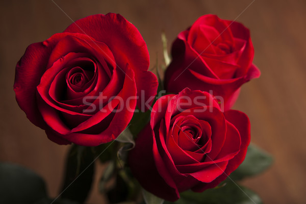 bouquet of roses on a wooden background Stock photo © mizar_21984