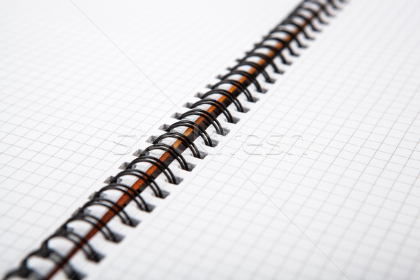 large notebook into a cell Stock photo © mizar_21984