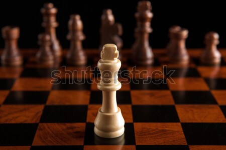 chess game with the king in the center Stock photo © mizar_21984