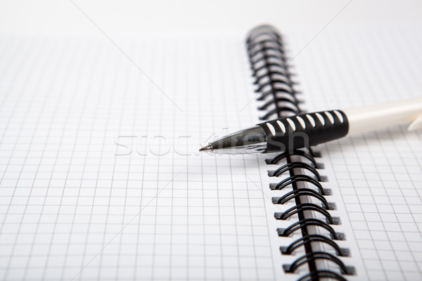pen on a notebook into a cell Stock photo © mizar_21984