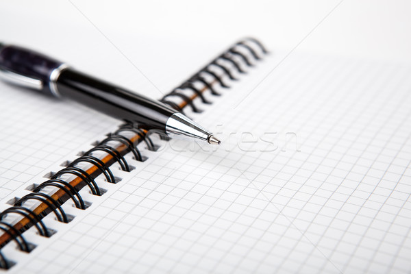 pen on a notebook into a cell Stock photo © mizar_21984