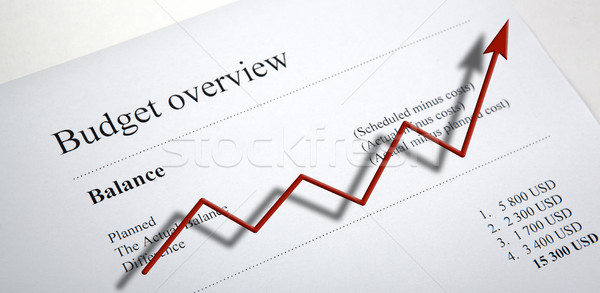 table with earnings with digits and diagram Stock photo © mizar_21984
