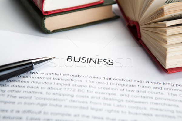 document with the title of business Stock photo © mizar_21984