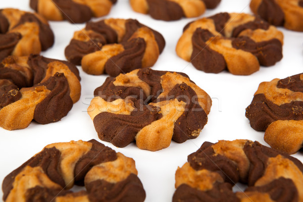 Foto d'archivio: Cookies · cacao · bianco · primo · piano · dolce · zucchero