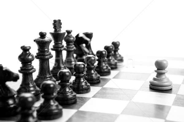 chess pieces on the board Stock photo © mizar_21984