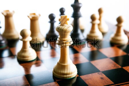 Chess pieces set Stock photo © mizar_21984