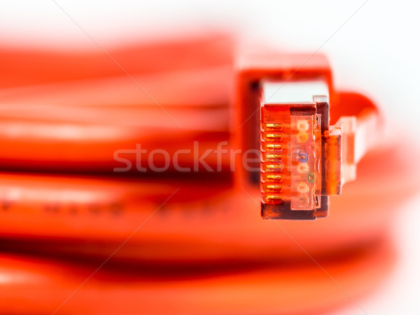 Sieci pomarańczowy kabel Internetu kot komunikacji Zdjęcia stock © mobi68