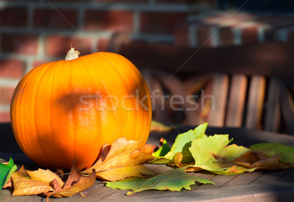 Dynia dojrzały drewniany stół jesienny wieczór słońce Zdjęcia stock © mobi68