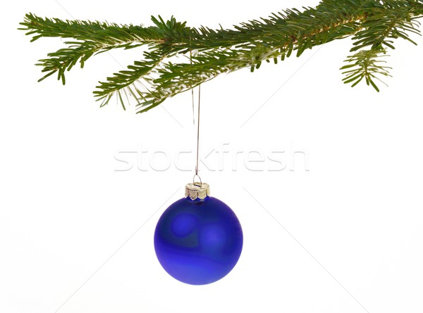 Stock photo: Blue Christmas decorations on a branch