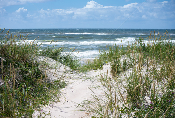 Mer nord rive plage eau herbe [[stock_photo]] © mobi68