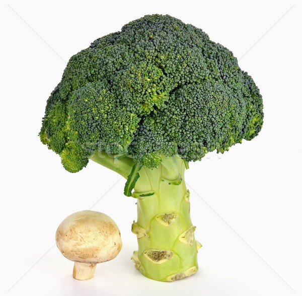 Broccoli and mushroom Stock photo © mobi68