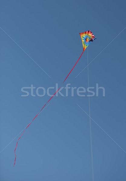 Kolorowy Kania Błękitne niebo plaży niebieski czerwony Zdjęcia stock © mobi68
