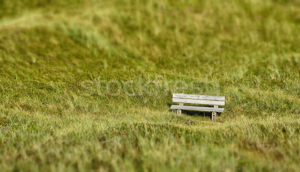Magányos pad fából készült dűne Stock fotó © mobi68