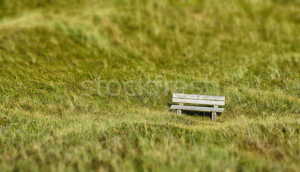 Solitaire banc bois dune [[stock_photo]] © mobi68