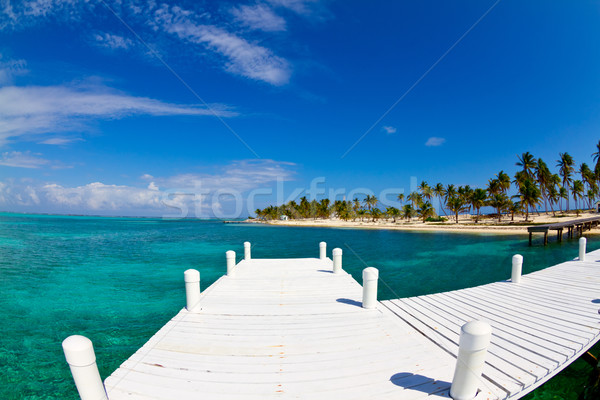 Branco Belize praia céu nuvens Foto stock © MojoJojoFoto