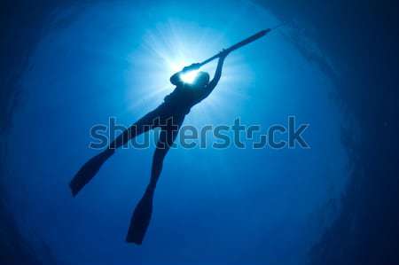 Stock photo: Tropical spearfishing