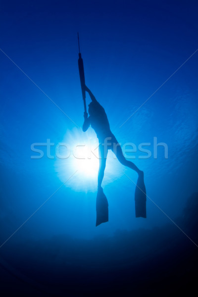 Mädchen Sonne junge Mädchen Great Barrier Reef Frau Meer Stock foto © MojoJojoFoto