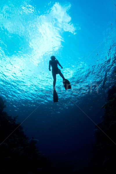 Stock photo: Caribbean Waters