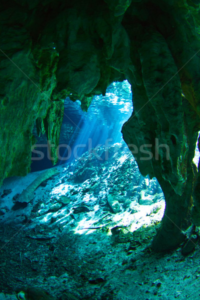 Stock photo: gran cenote entrance